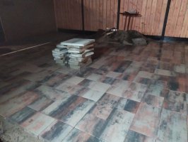 Aanleg achtertuin cortenstaal / buitenkeuken / schutting Fransebaan Eindhoven