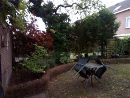 Aanleg achtertuin cortenstaal / buitenkeuken / schutting Fransebaan Eindhoven