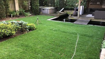 Aanleg gazon Westerhoven