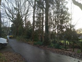 Hekwerk montage met aanplanten