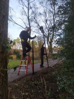 Hekwerk montage met aanplanten