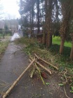 Hekwerk montage met aanplanten