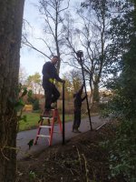 Hekwerk montage met aanplanten