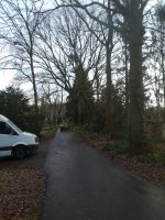 Hekwerk montage met aanplanten