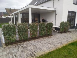 Hekwerk montage met aanplanten