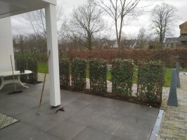 Hekwerk montage met aanplanten