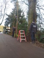 Hekwerk montage met aanplanten