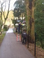 Hekwerk montage met aanplanten