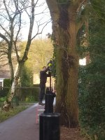 Hekwerk montage met aanplanten