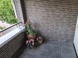 Houtwerk balkon vlonder Aalst