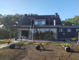 Aanplant / gazon / leibomen met leirekken Luyksgestel
