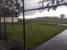 Aanplant / gazon / leibomen met leirekken Luyksgestel