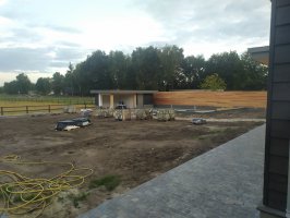Aanplant / gazon / leibomen met leirekken Luyksgestel