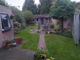 Aanleg achtertuin Westerhoven