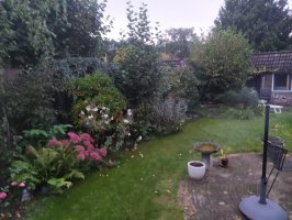 Aanleg achtertuin Westerhoven