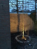 Aanleg achtertuin Westerhoven