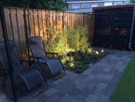 Aanleg beplanting / gazon Eindhoven