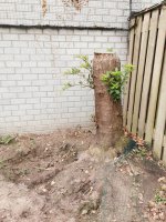Aanleg natuursteen tegels / gazon Helmond