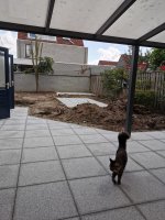 Aanleg natuursteen tegels / gazon Helmond