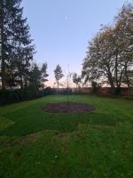 Aanleg beregening / renovatie achtertuin Dommelen