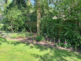Aanleg beregening / renovatie achtertuin Dommelen