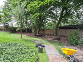 Aanleg beregening / renovatie achtertuin Dommelen