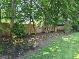 Aanleg beregening / renovatie achtertuin Dommelen