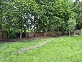 Aanleg beregening / renovatie achtertuin Dommelen