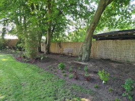 Aanleg beregening / renovatie achtertuin Dommelen