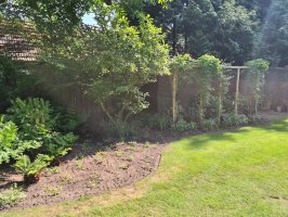 Aanleg beregening / renovatie achtertuin Dommelen