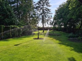 Aanleg beregening / renovatie achtertuin Dommelen