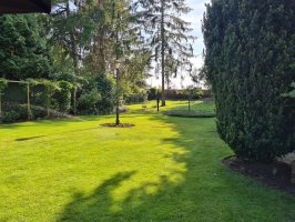 Aanleg beregening / renovatie achtertuin Dommelen